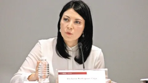 victoria_rodriguez_ceja_01.jpg_1778949874