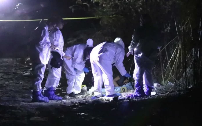 forense-datos-desaparecidos-mexico-11-052023