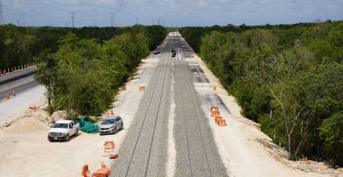 juez-ordena-frenar-tala-tren-maya