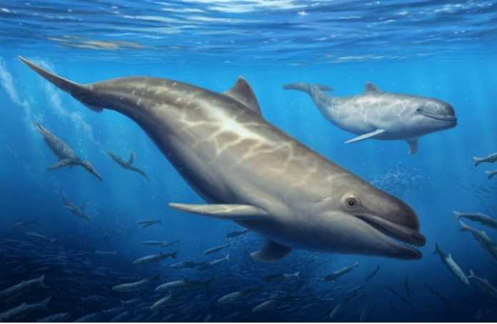 WhatsApp Image 2023-06-27 at 12.16.05 AM