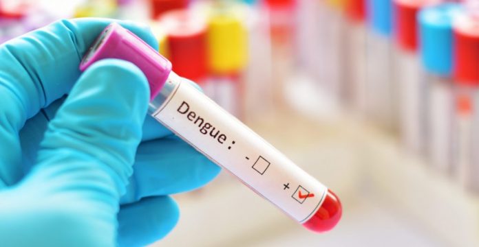 dengue-oms-contagios-1024x529