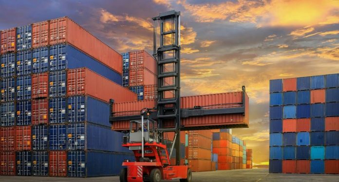 WhatsApp Image 2024-01-17 at 6.53.37 PM