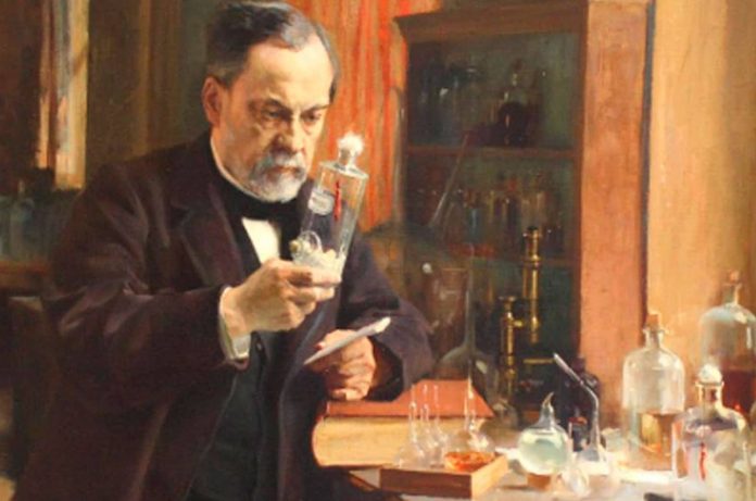 louis-pasteur-levure