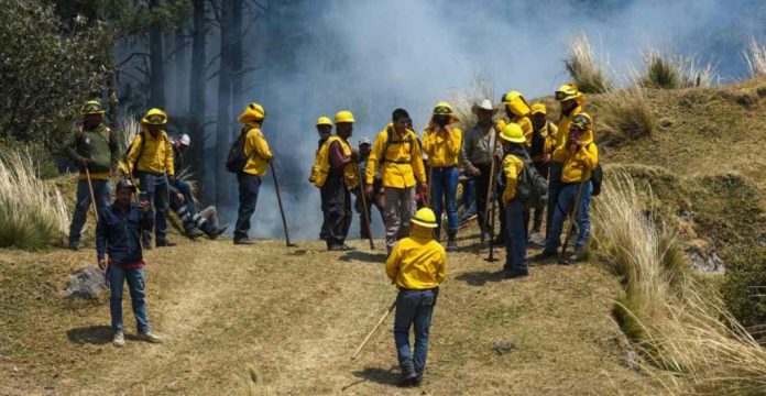 cuartoscuro-incendio-forestal-73-1024x529 (1)