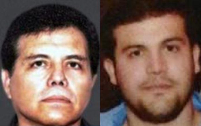 e-l-mayo-zambada-hijo-de-el-chapo-detenido