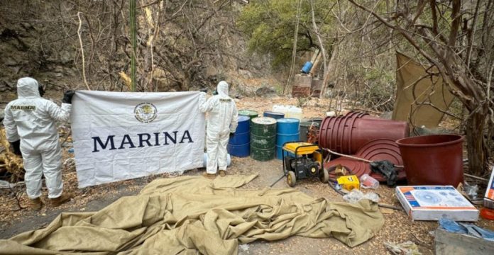 marina-quimicos-uso-dual-metanfetaminas-1024x529