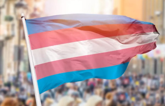 WhatsApp Image 2024-08-30 at 1.01.51 PM