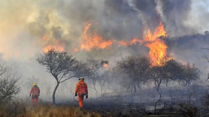 incendios-forestales-cordoba-1659007