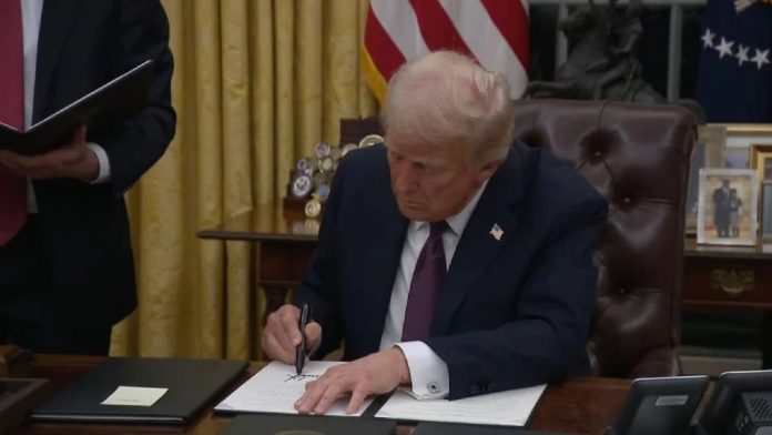 WhatsApp Image 2025-01-20 at 7.27.29 PM