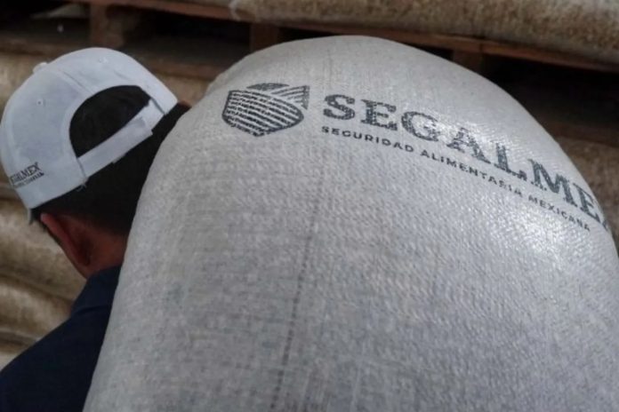 WhatsApp Image 2025-01-21 at 5.33.55 PM