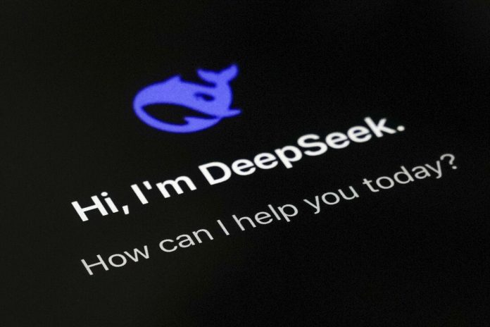 Italy DeepSeek Privacy