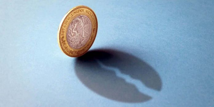 WhatsApp-Image-2024-11-23-at-00.12.19