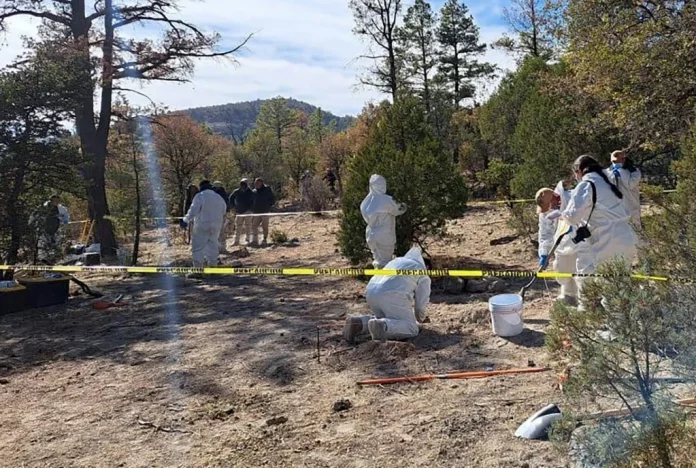 6739d5ec6788cd811d42bbbaab20c2eb-88781967