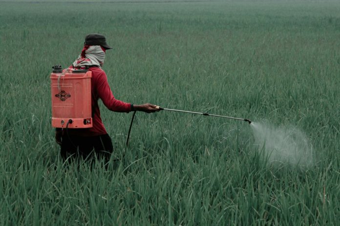plaguicidas-insecticidas-1536x1024
