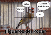 Jilgueros del Poder 09 12 25